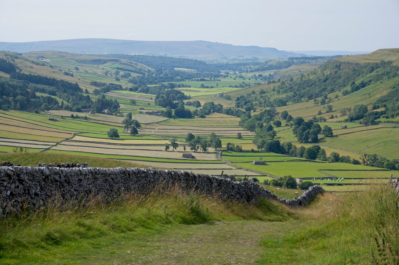 Explore the Yorkshire Dales this Summer Weetwood Hall Blog Image the dales with a winding stone wall