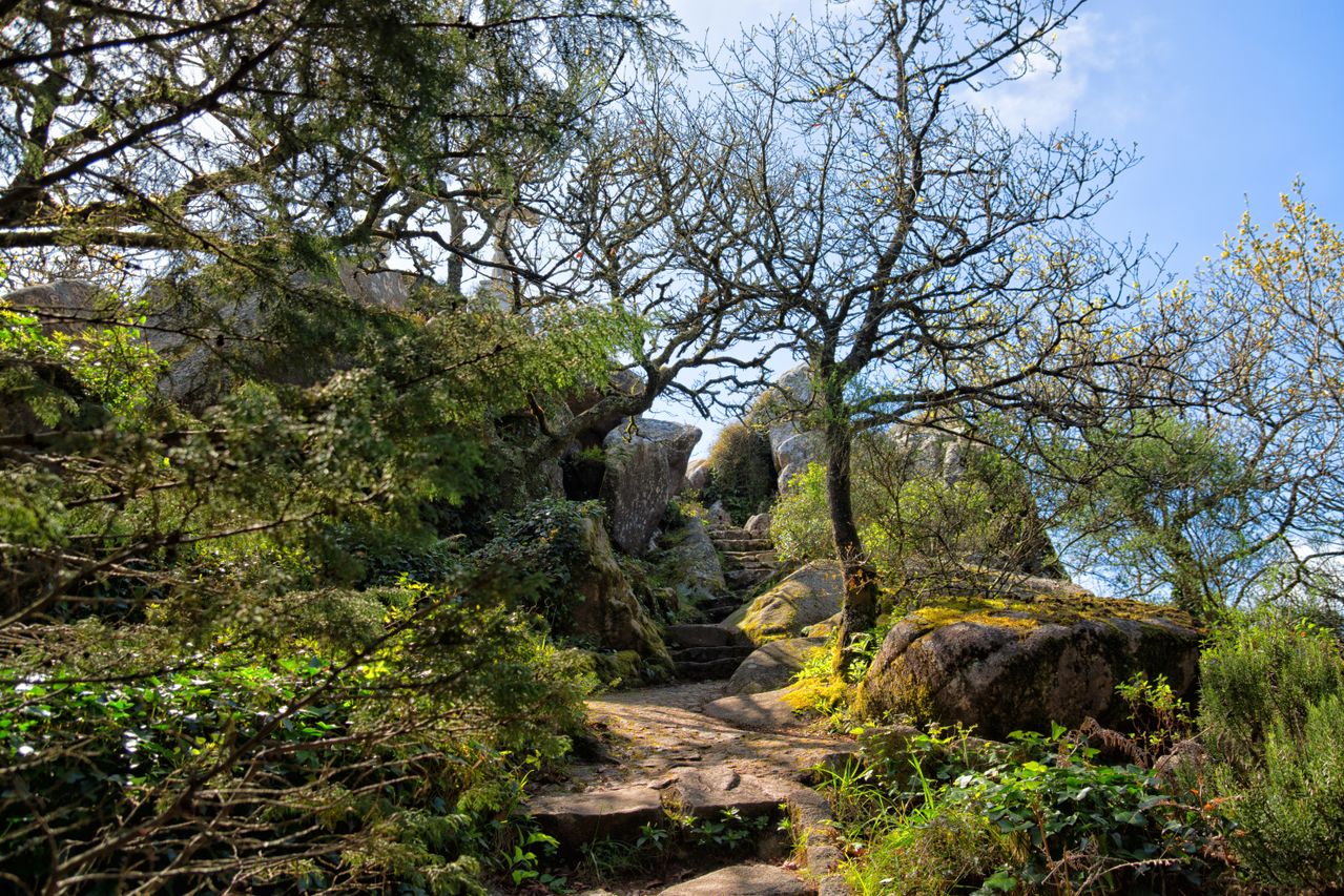 Explore the Yorkshire Dales this Summer Weetwood Hall Blog Image Brimham rocks